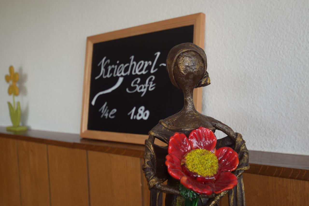Gasthaus Donaublick Leiben Esterno foto